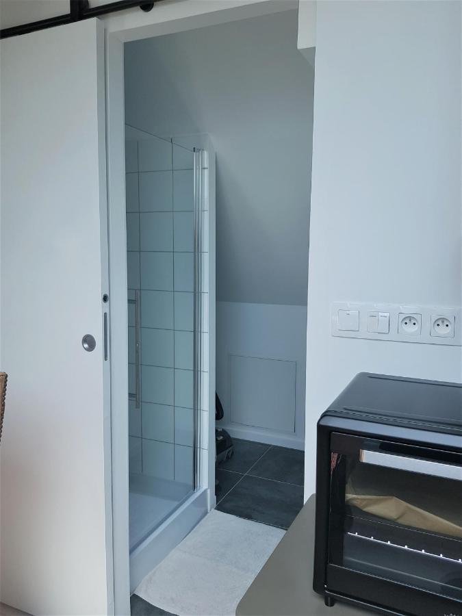 Au Gre De L'Ill "Les Toits D'Horbourg" Apartamento Exterior foto
