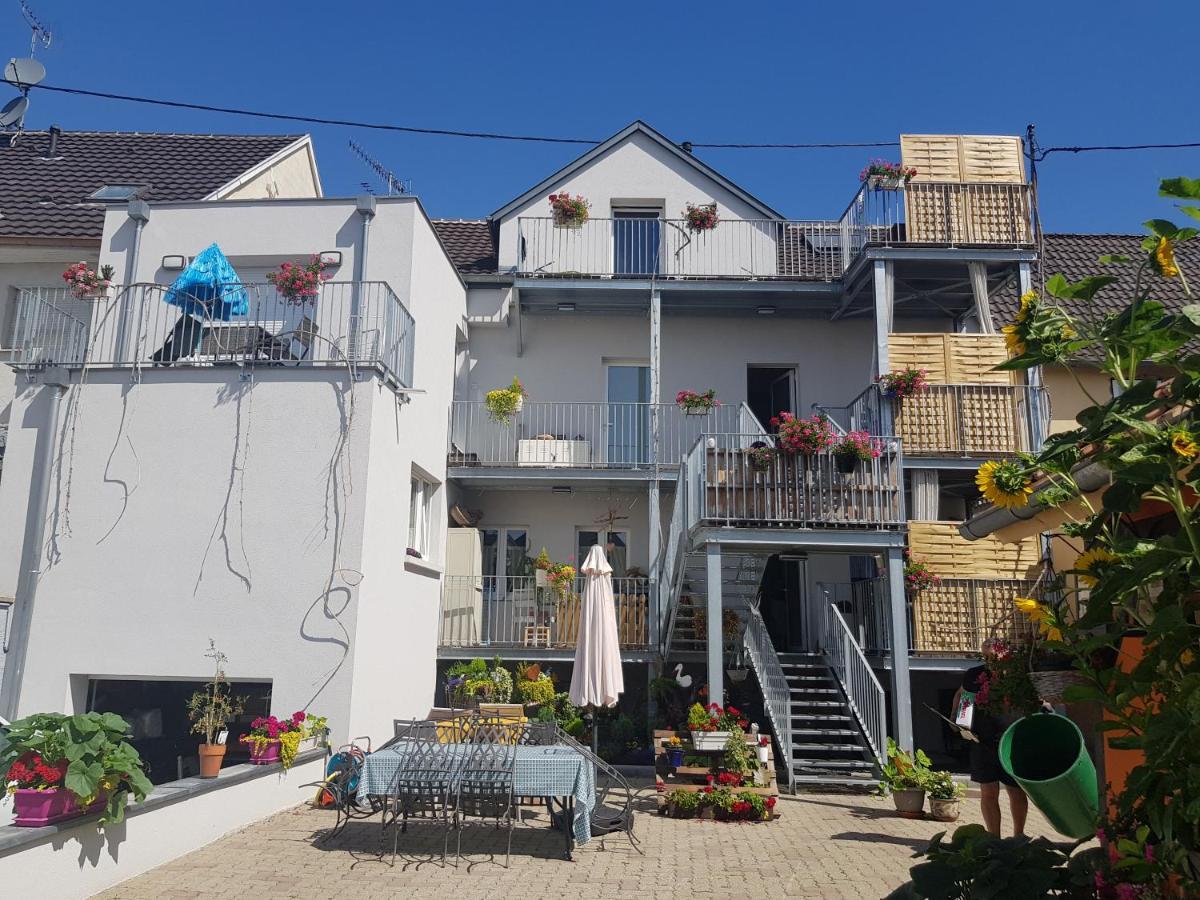 Au Gre De L'Ill "Les Toits D'Horbourg" Apartamento Exterior foto